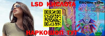 индика Ставрополь