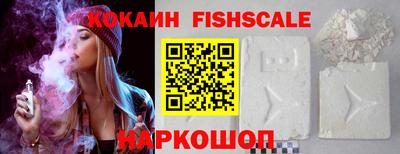 индика Ставрополь