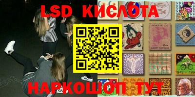 индика Ставрополь