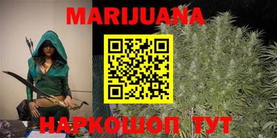 индика Ставрополь