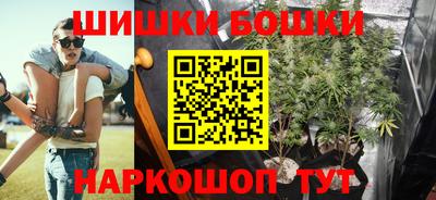 индика Ставрополь