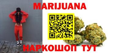 индика Ставрополь