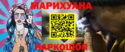 индика Ставрополь