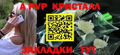 индика Ставрополь
