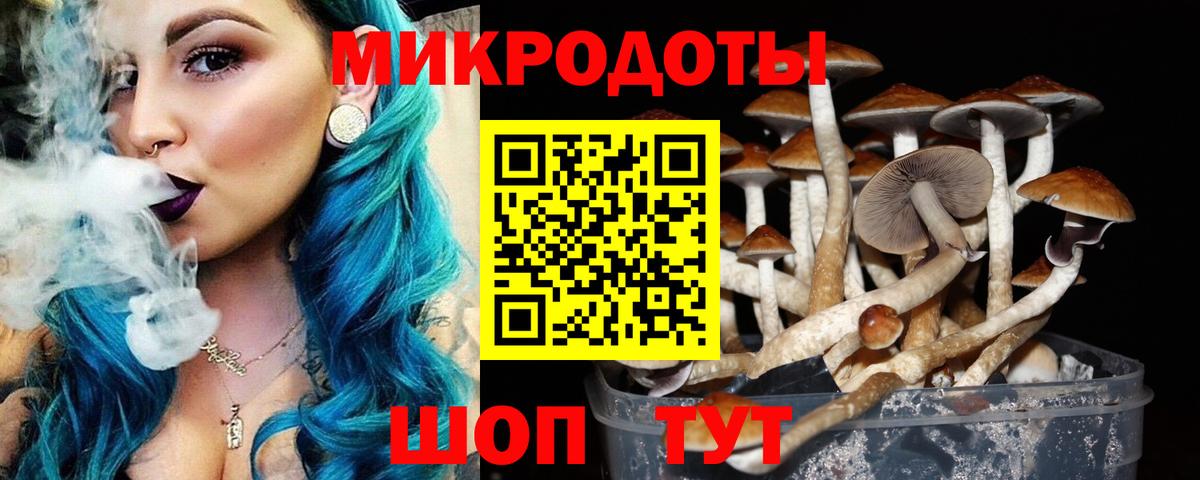 Мурино  Псилоцибиновые грибы мицелий  Вход с VPN 